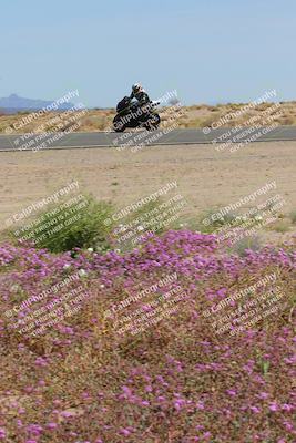 media/Mar-12-2023-SoCal Trackdays (Sun) [[d4c8249724]]/Turn 15 Inside Bloom (130pm)/